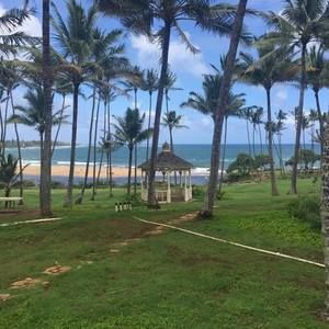 Meet your Posher, Jeffrey